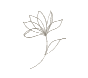 image-slider